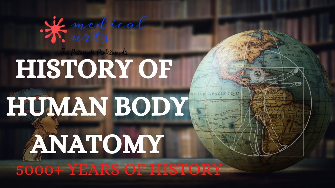 History Of Human Body Anatomy - Crash Course - Summarizing 5000+ Years ...