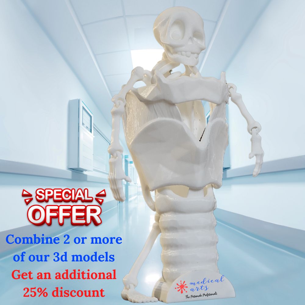 Medical Arts 3D Models