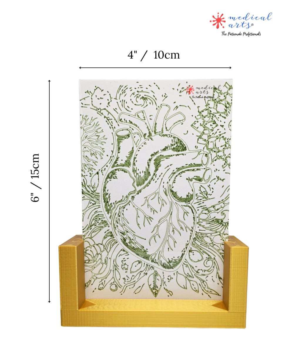 Double-Sided Acrylic Frame Set ● Elegant Open Dual-Display ● Set of 2 Home Decor Medical Arts Shop