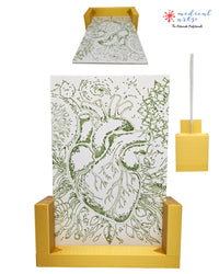 Double-Sided Acrylic Frame Set ● Elegant Open Dual-Display ● Set of 2 Home Decor Medical Arts Shop