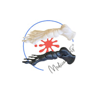 Foot Bones Anatomy 3D Model - Customizable medical model Medical Arts Shop