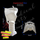 3D Larynx & Trachea Anatomy - Windpipe + PDF medical model Medical Arts Shop