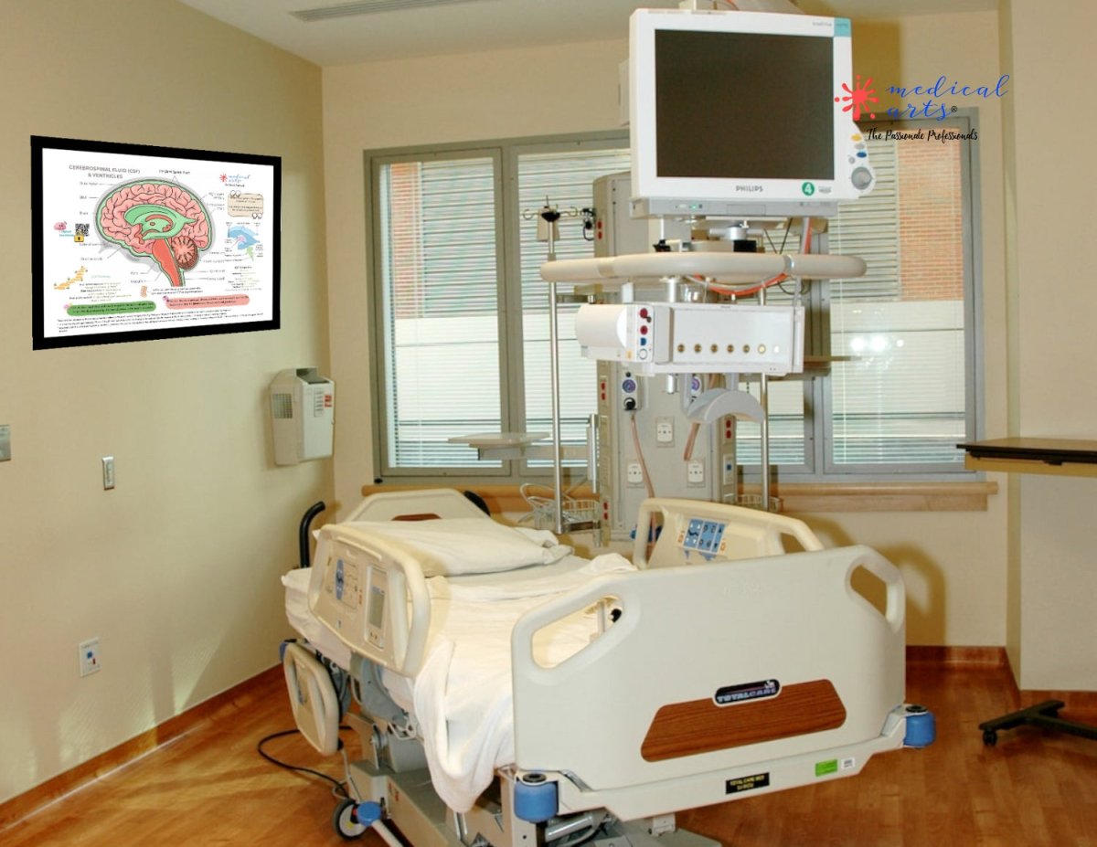 Cerebrospinal Fluid & Ventricles Anatomy - Medical Arts Gallery Posters, Prints, & Visual Artwork Medical Arts Shop