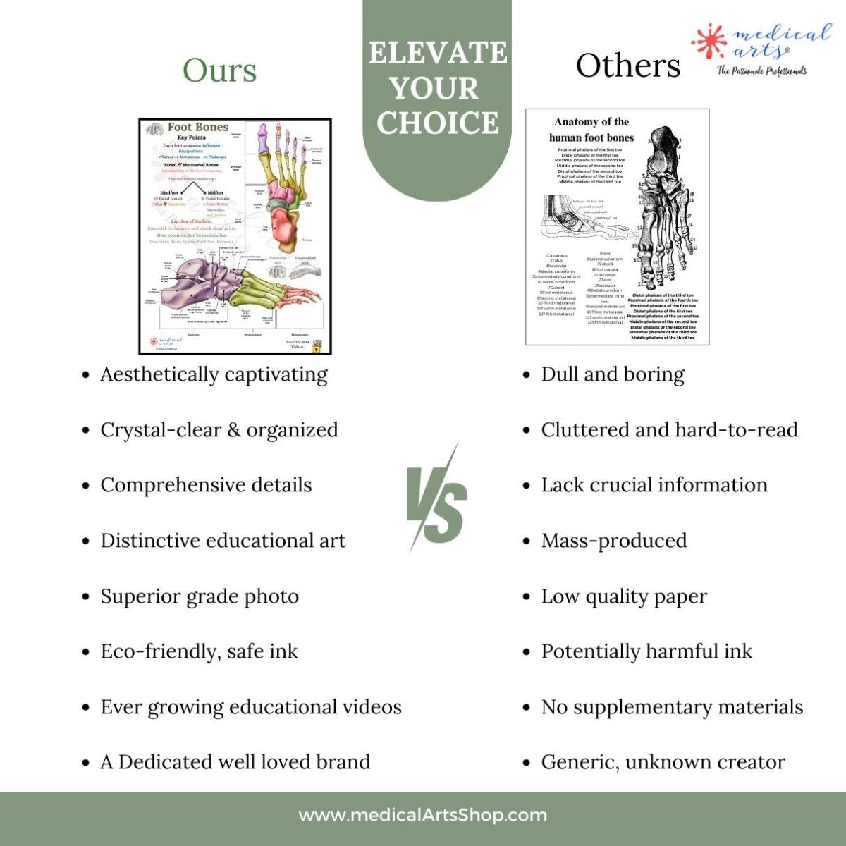Cerebrospinal Fluid & Ventricles Anatomy - Medical Arts Gallery Posters, Prints, & Visual Artwork Medical Arts Shop