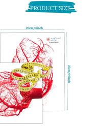 Fine Arts Gallery - Heart Vessels Posters, Prints, & Visual Artwork Medical Arts Shop