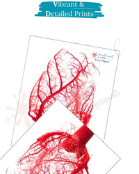 Fine Arts Gallery - Heart Vessels Posters, Prints, & Visual Artwork Medical Arts Shop