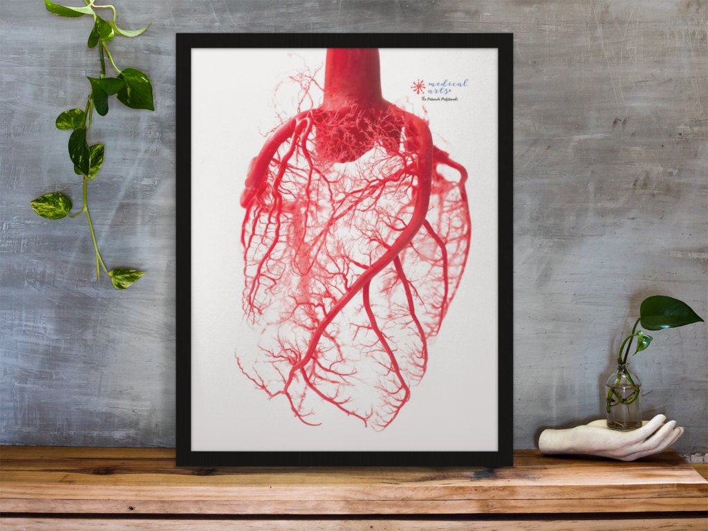 Medical Arts Gallery - Posters & Frames Posters, Prints, & Visual Artwork Medical Arts Shop