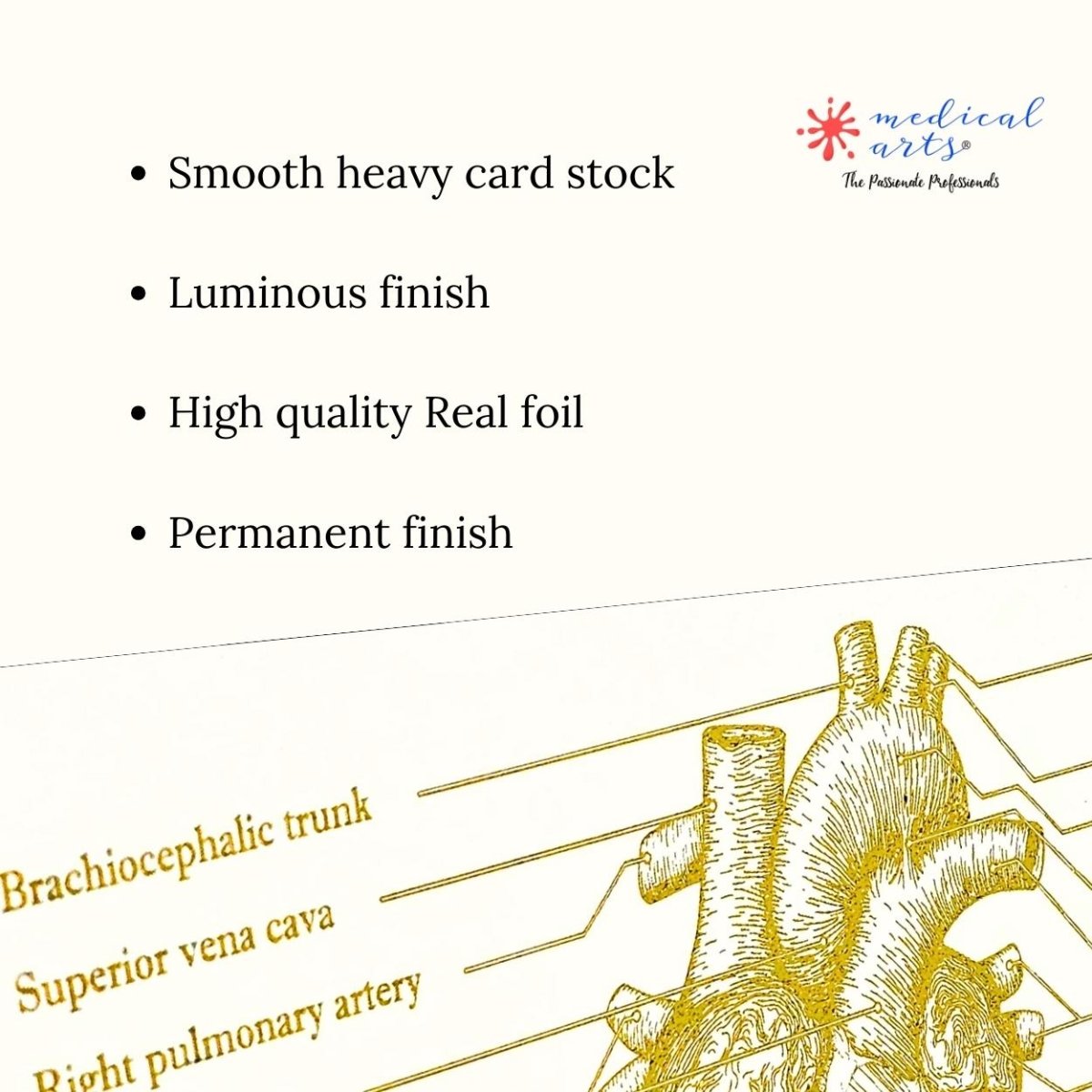 Metallic Foil Prints - Heart's Anatomy - Personalized - Medical Arts Foils Posters, Prints, & Visual Artwork Medical Arts